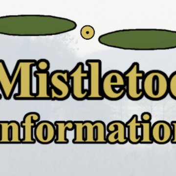 Mistletoe information