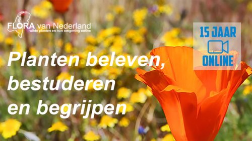 Flora van Nederland 15 jaar zelfstudie