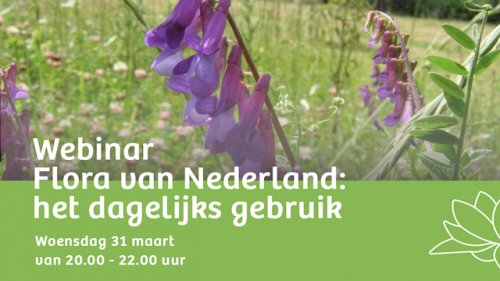 Zoomsessie Flora van Nederland