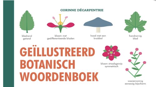 Botanisch woordenboek Flora van Nederland