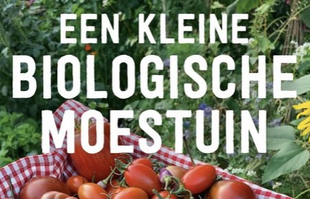 Een kleine biologische moestuin