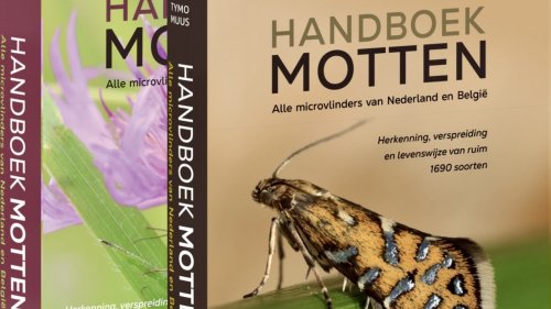 Handboek motten KNNV Flora van Nederland