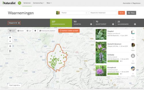 iNaturalist Flora van Maastricht NL