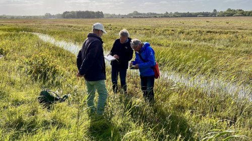 Biologen in gesprek Flora van Nederland