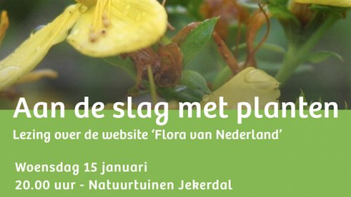 IVN Flora van Nederland