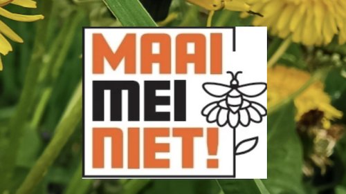 Maai Mei Niet Flora van Nederland