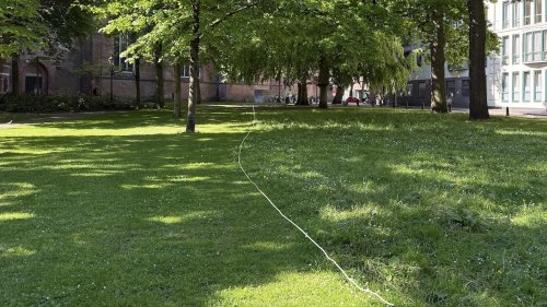 Maai minder in Groningen Flora van Nederland