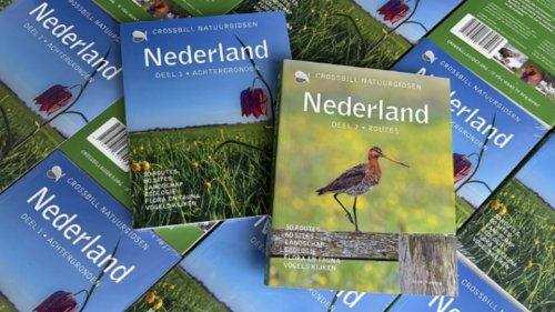 Natuurgids Nederland Flora van Nederland KNNV