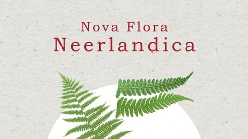 Nova Flora Neerlandica deel 1