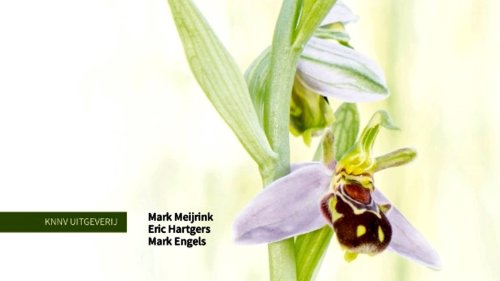 Orchideeen in Nederland KNNV Flora publicatie