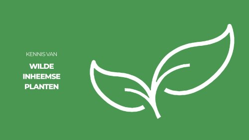 Stichting Planten Dichterbij Kennis van wilde planten
