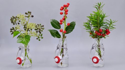 Adopteer een plant Flora van Nederland archief