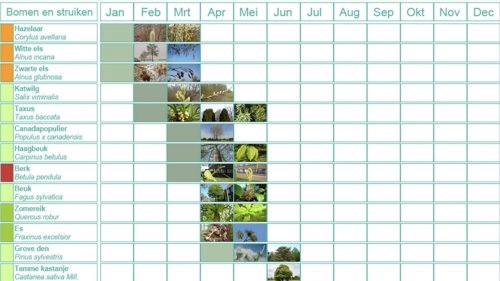 Pollenkalender Pollennieuws en Flora van Nederland bomen