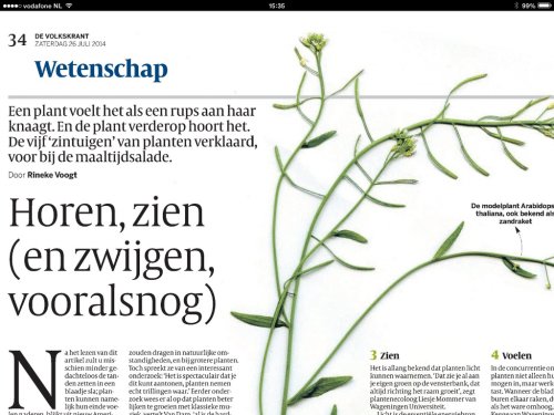 volkskrantplanten