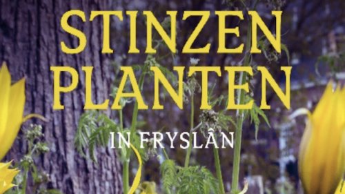 Stinzenplanten Flora van Nederland