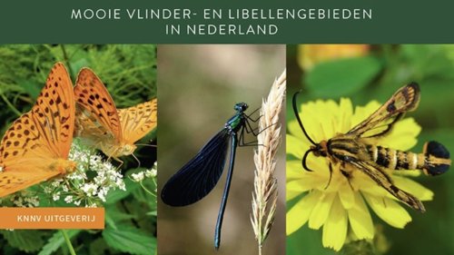 Vlinders en Libellen flora van Nederland KNNV
