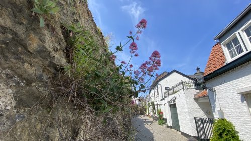 Stadsmuren Flora van Nederland Maastricht