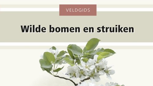 Wilde bomen en struiken Flora van Nederland