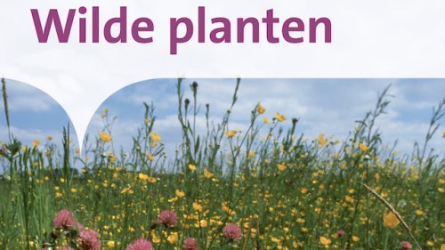 Wilde planten Flora voor scholen