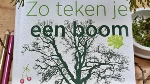 Zo teken je een boom KNNV Flora van Nederland