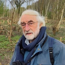 Bert Maes