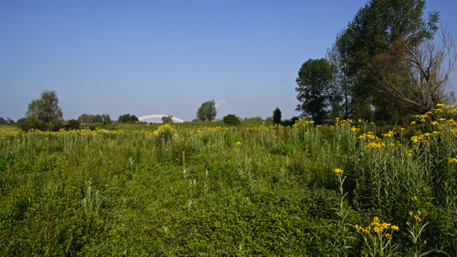 Associatie van Moerasspirea en Echte Valeriaan